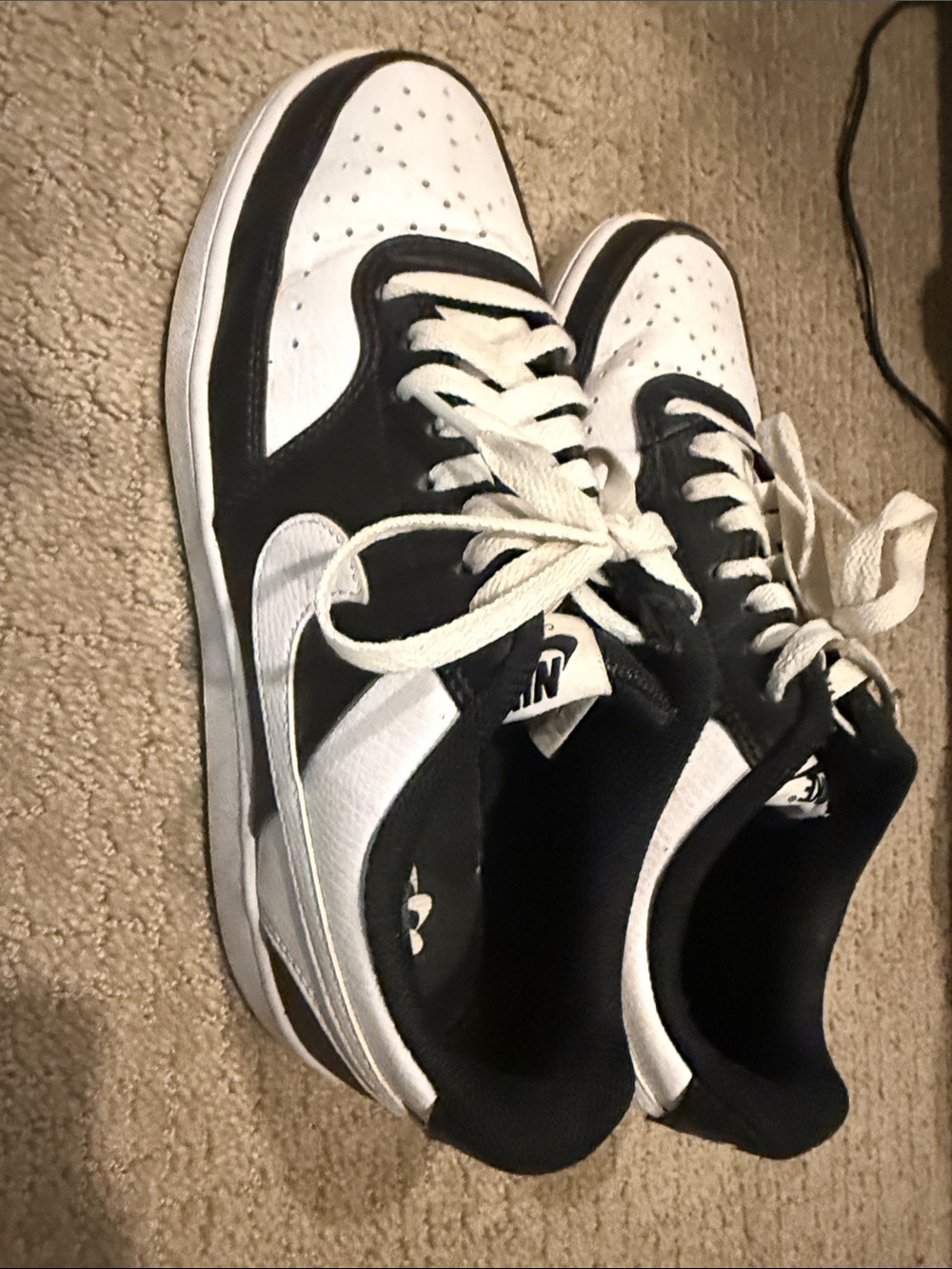 Nike Black and White Low Top Swoosh Sneakers